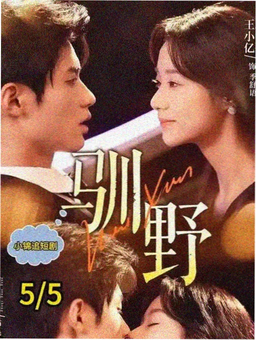 韩剧沉默的证词海报 高分悬疑韩剧推荐